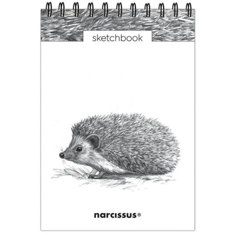 Kołoszkicownik Narcissus B5/60/120g Jeż
